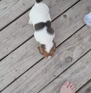 Meet your Posher, Kathy